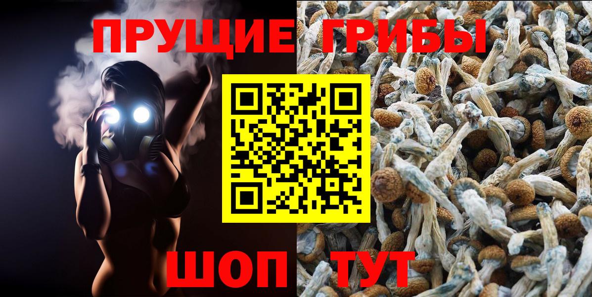 Ульяновск  Псилоцибиновые грибы мухоморы  Вход с VPN 
